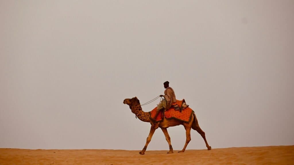 Marvin Multi Day Camel Safari