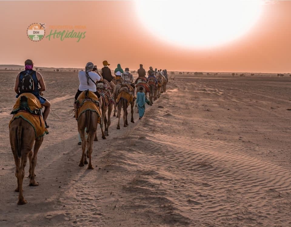 Blissful Camel Safari with Enchanting Beauty of Thar Desert