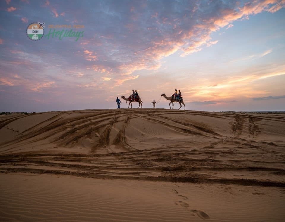 Dazzling Half Day Camel Safari Tour With Sunset
