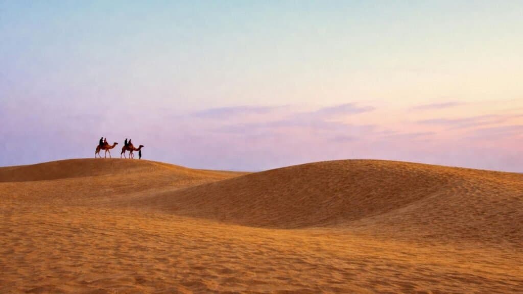 Full-Day Private Tour of Golden City ( Jaisalmer ) with Guide