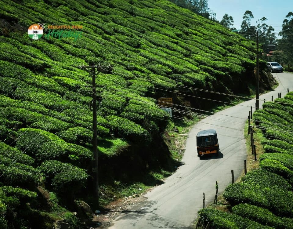 Luxury Tour of Kerala