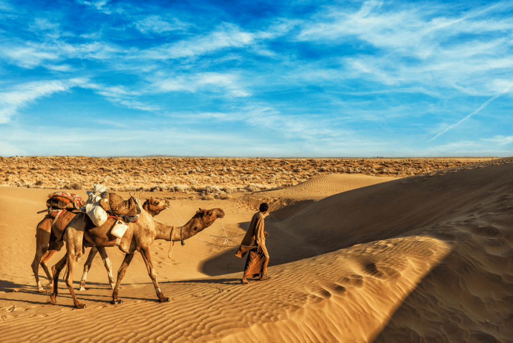 Mystical Desert Camping & Cultural Show in The Great Thar Desert