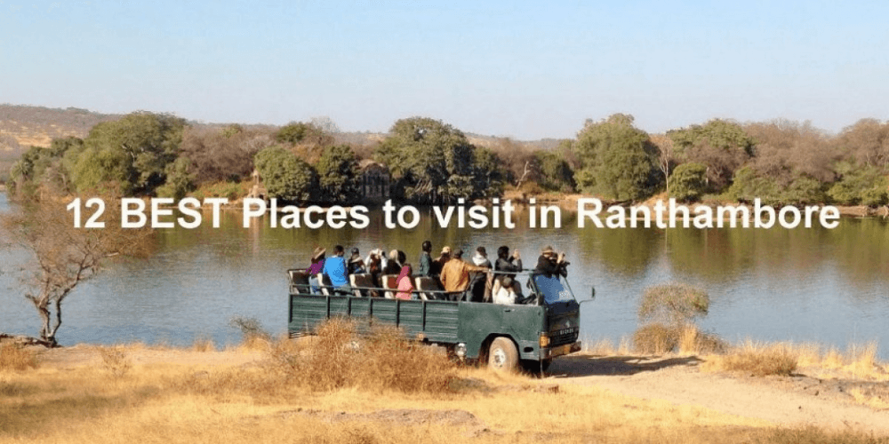 12 Places To Visit In Ranthambore That Need To Be In Your 2025 Itinerary
