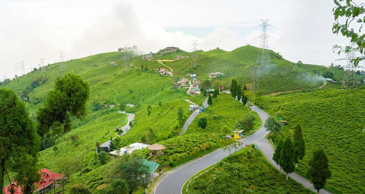 8 Days Blissful Darjeeling Tour