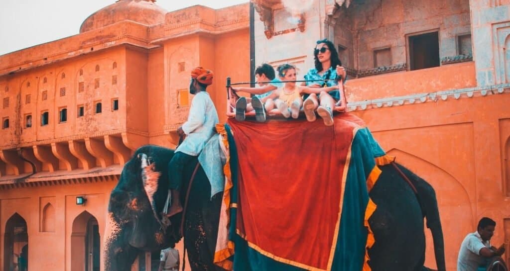 Jaipur Elephant Sanctuary Visit with Activities Tour photo 2
