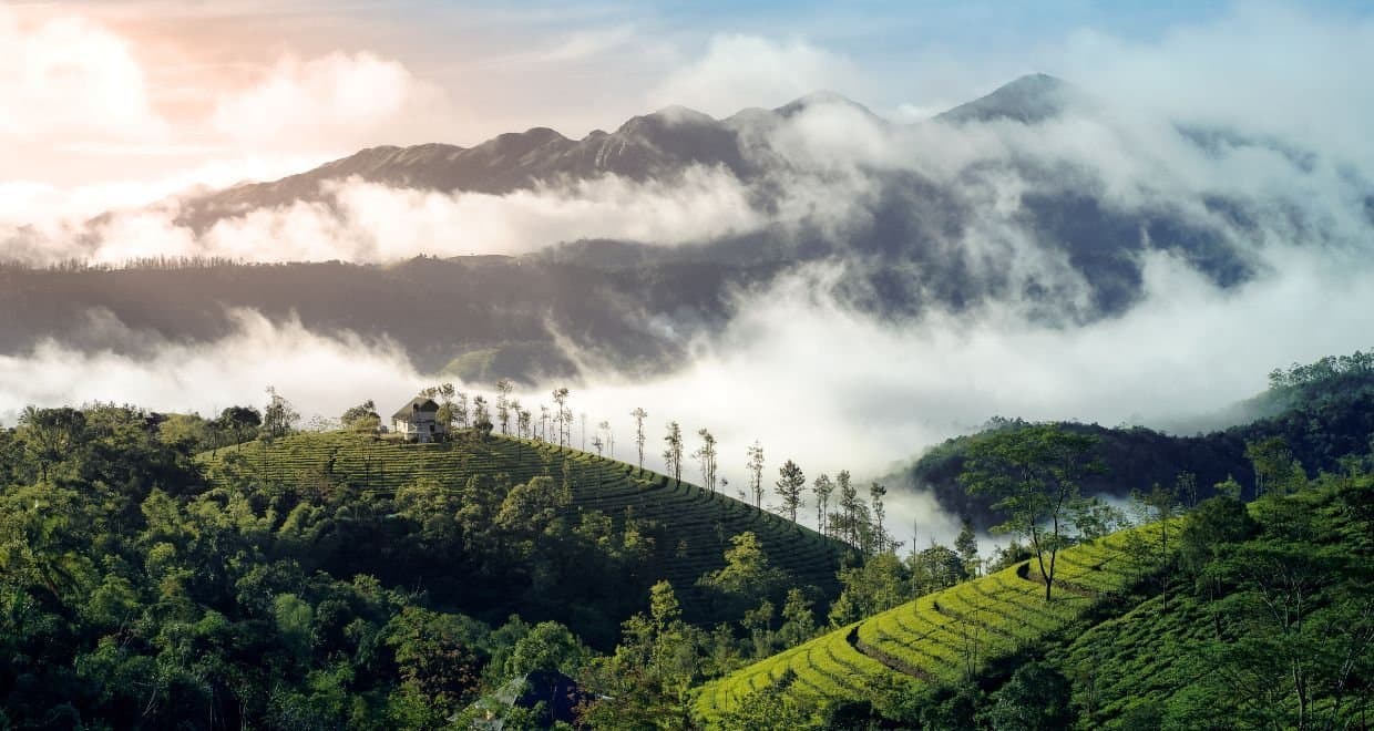 Romantic Kerala Honeymoon Tour photo 2