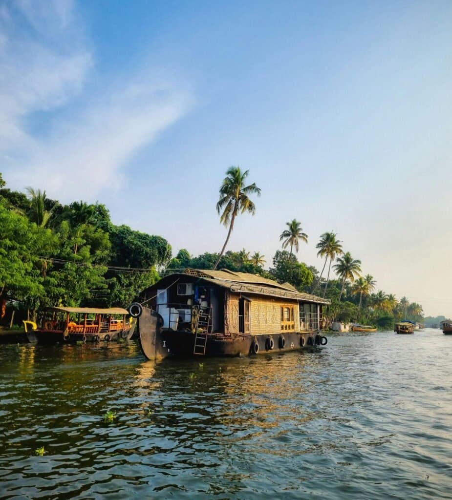 Rejuvenating Kerala Ayurveda Tour photo 3