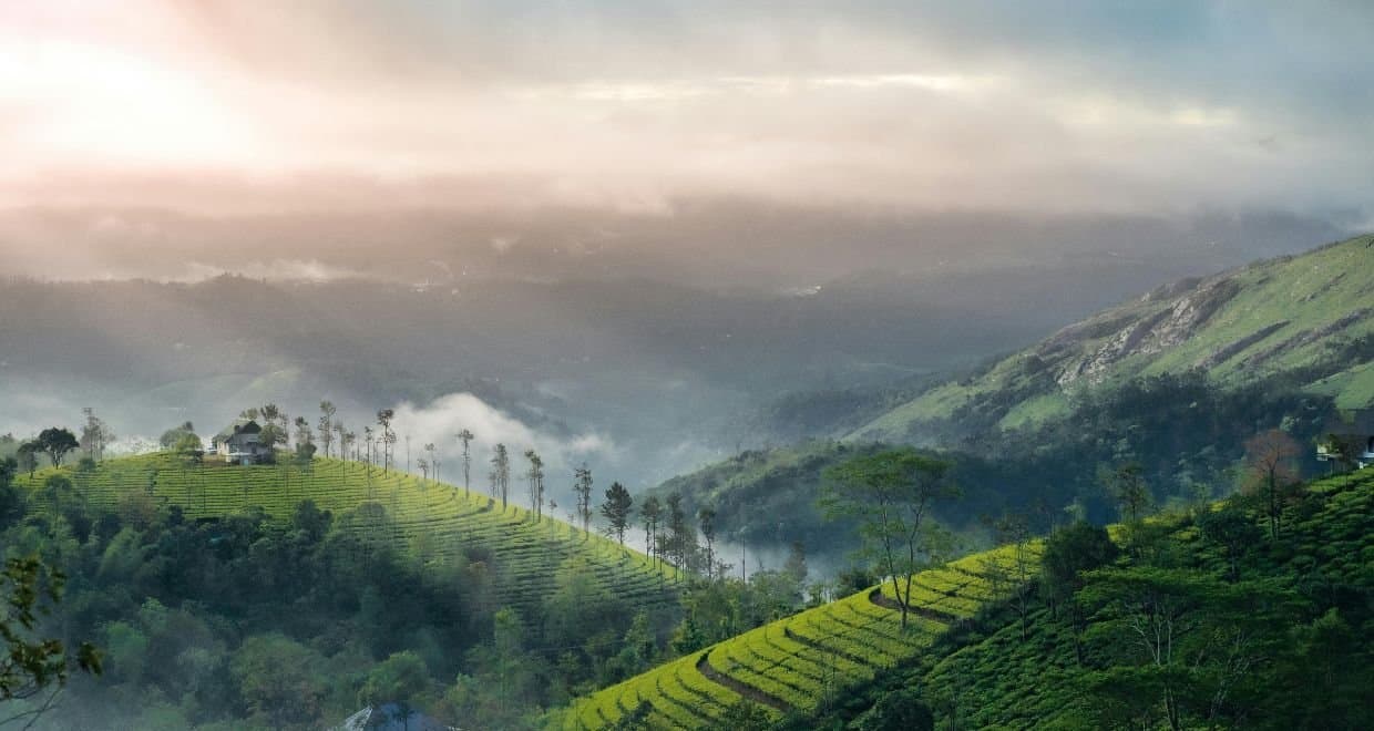 Family Holiday in Kerala