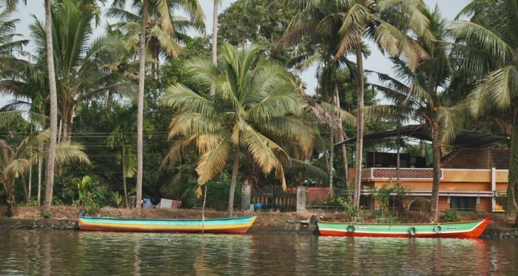 Beautiful Backwaters of Kerala photo 2