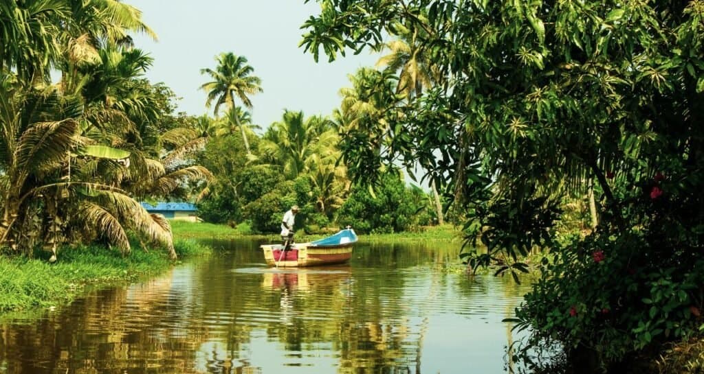 3 Days Periyar Tour with Treehouse photo 3