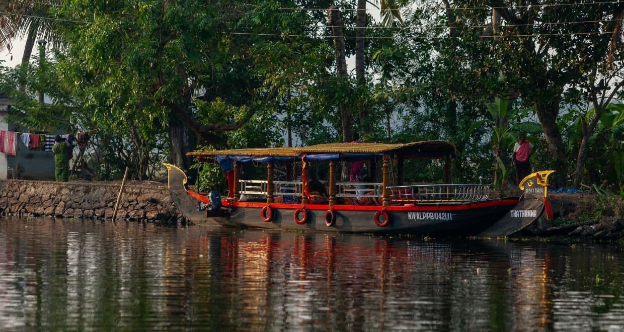 Munnar Honeymoon Tour photo 2