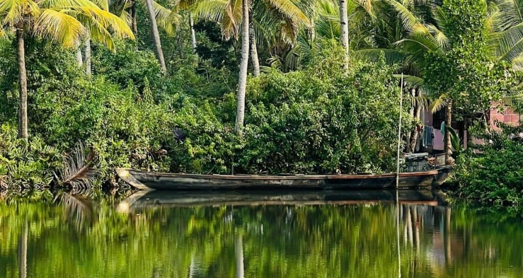 Mesmerizing Kerala Tour photo 3