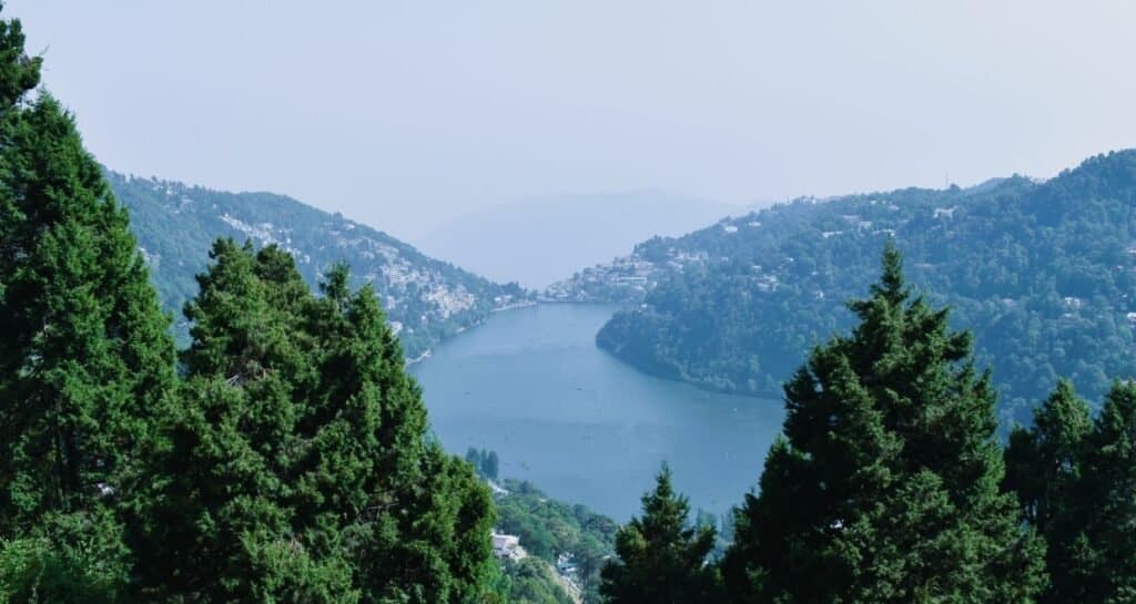 Blissful Bandipur & Ooty Tour photo 2