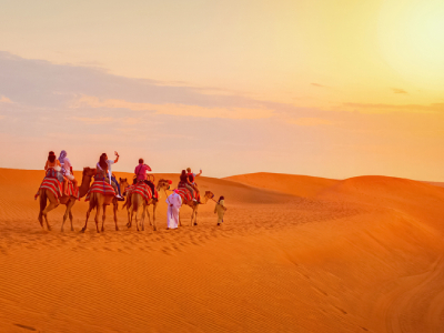 Dazzling-Half-Day-Camel-Safari-Tour-With-Sunset