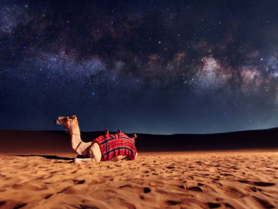 Nomadic-Non-Touristic-Overnight-Camel-Safari-Tour-with-Beauty-of-Thar-Desert