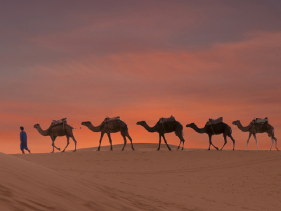 Rumi-Camel-Safari-with-Enchanting-Beauty-of-Thar-Desert