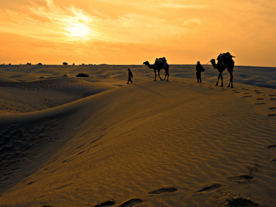 Wanderlust-Camel-Safari-with-Rumi-Caravan-of-Thar-Desert