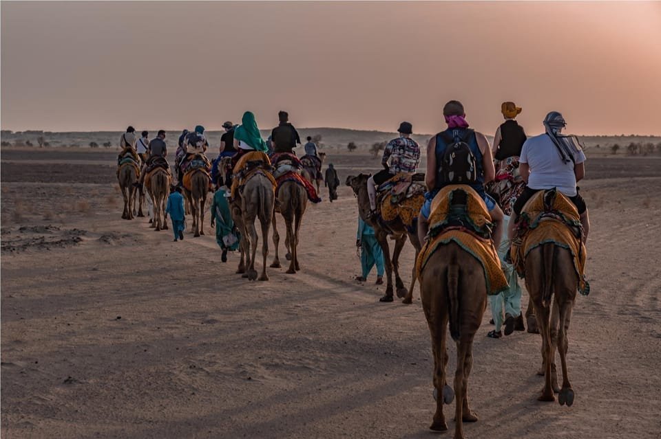 some camels walking with tourist