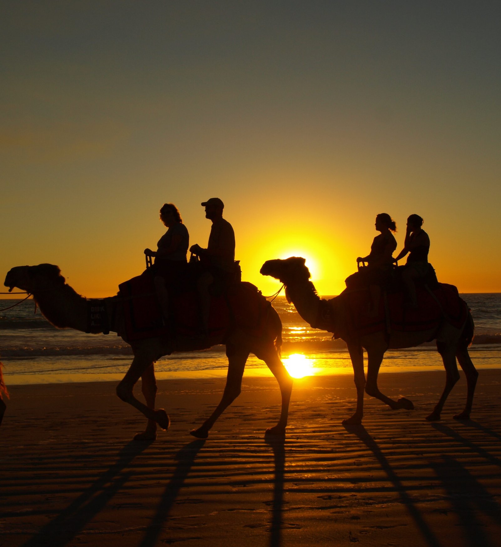 Jaisalmer Sightseeing with Camel Safari
